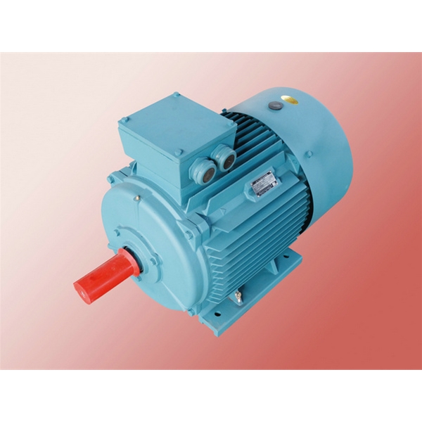 Y-H系列船用三相異步電動(dòng)機(jī)